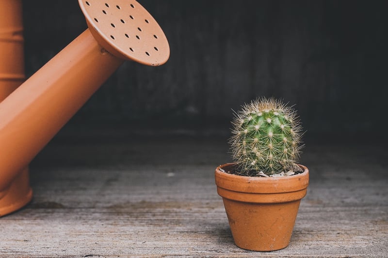Modular Planters